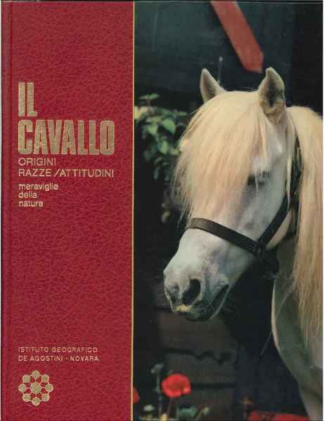 Il cavallo origini, razze, attitudini