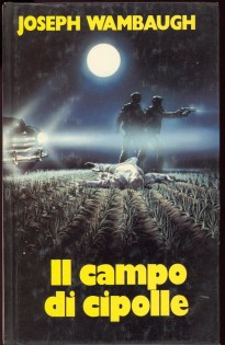 IL CAMPO DI CIPOLLE