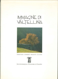 IMMAGINE DI VALTELLINA