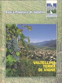 LA VALTELLINA TERRA DI VIGNE