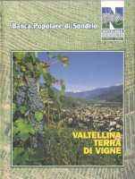 LA VALTELLINA TERRA DI VIGNE